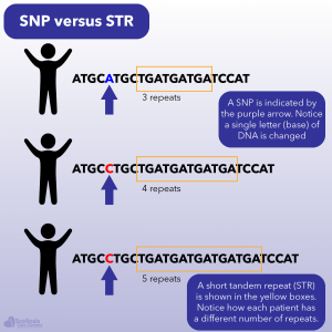 Example of a SNP versus a STR which can be hereditary
