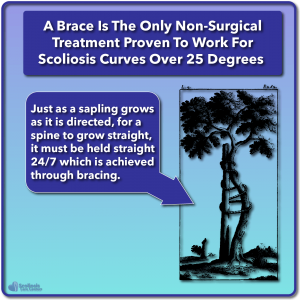 Growing sapling analogy for scoliosis treatment