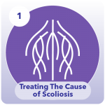Icon for treating the cause of scoliosis